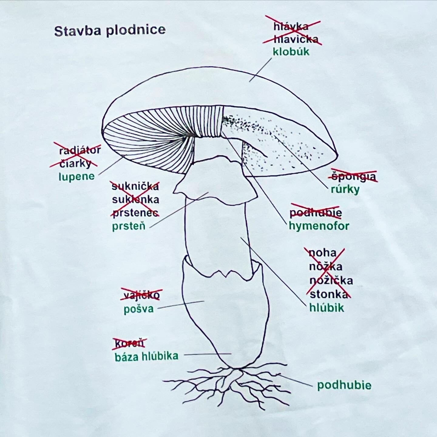 "Stavba plodnice" t-shirt